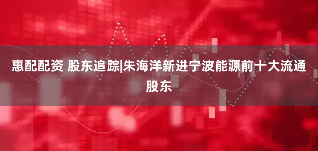 惠配配资 股东追踪|朱海洋新进宁波能源前十大流通股东